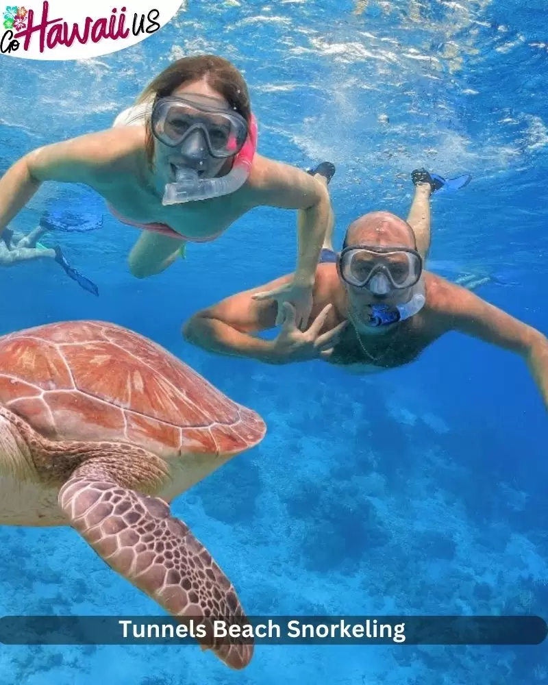 Tunnels Beach Snorkeling