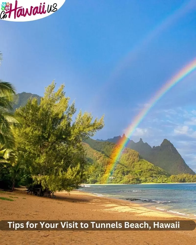 Tips for Your Visit to Tunnels Beach, Hawaii