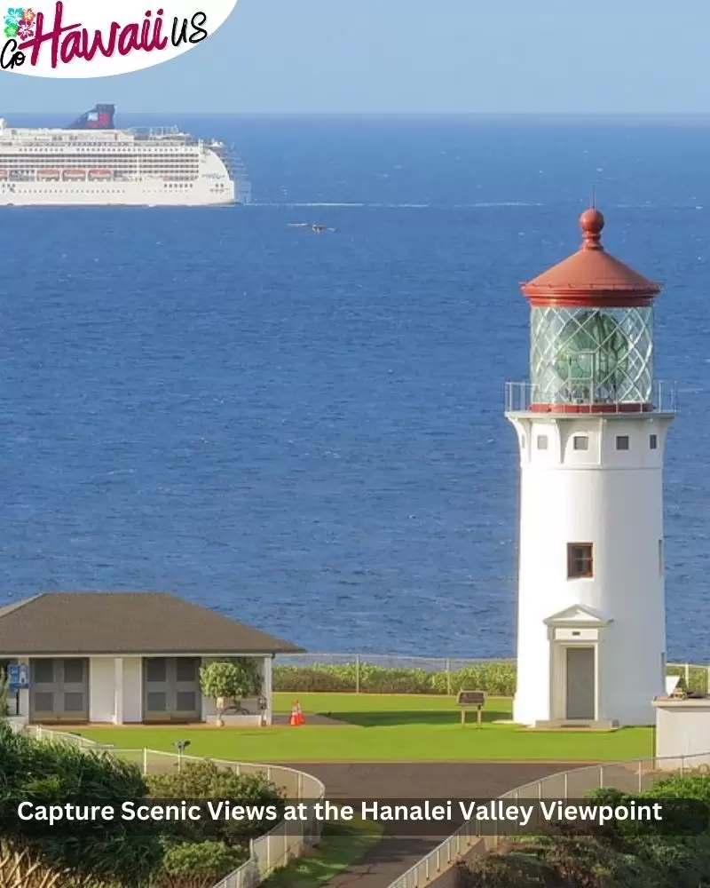 Explore the Kilauea Point National Wildlife Refuge