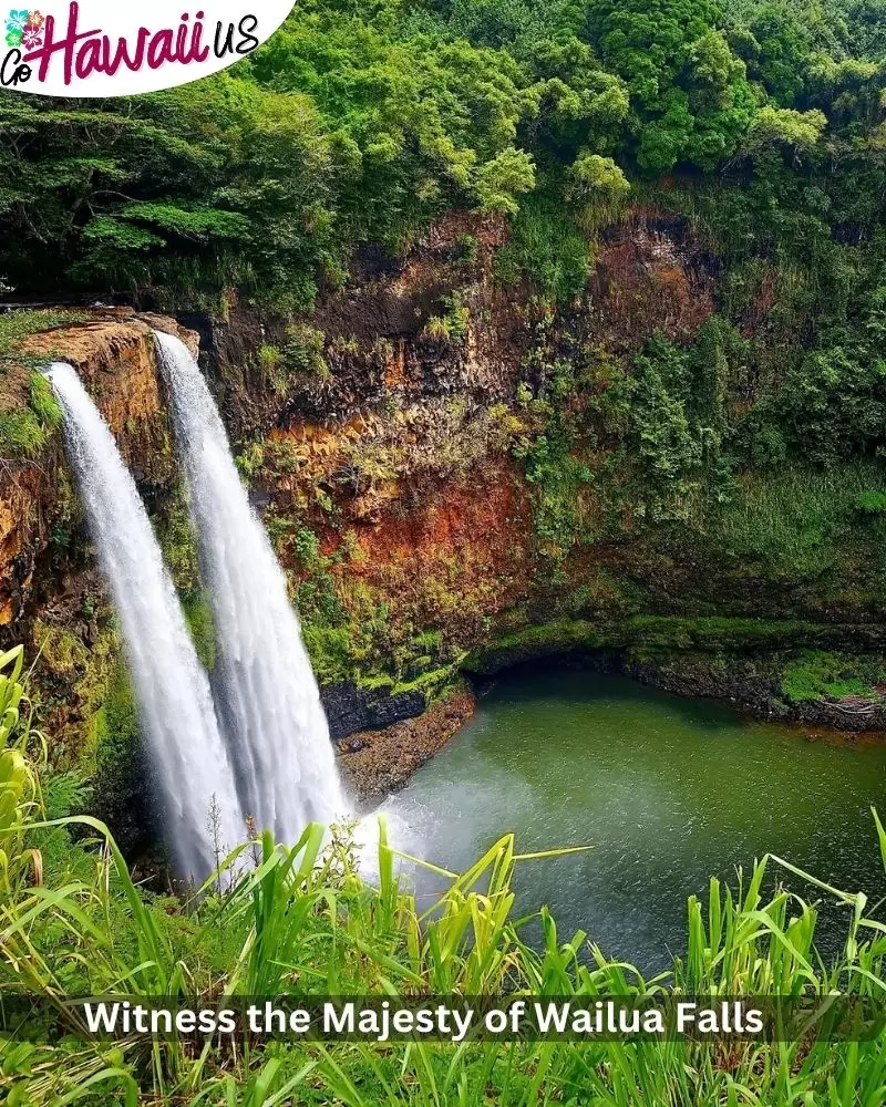 Witness the Majesty of Wailua Falls