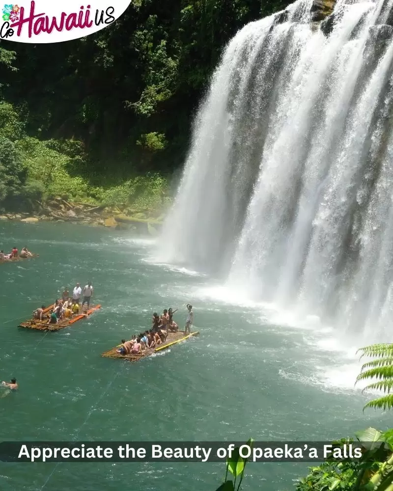  Appreciate the Beauty of Opaeka’a Falls