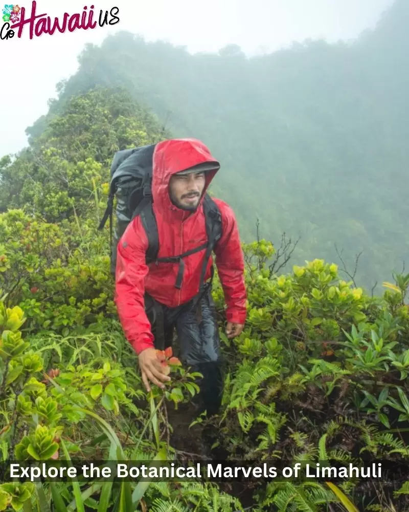 Explore the Botanical Marvels of Limahuli Garden and Preserve