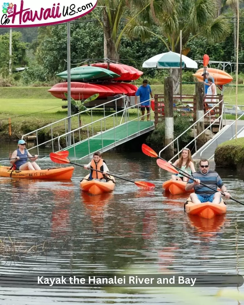 Kayak the Hanalei River and Bay