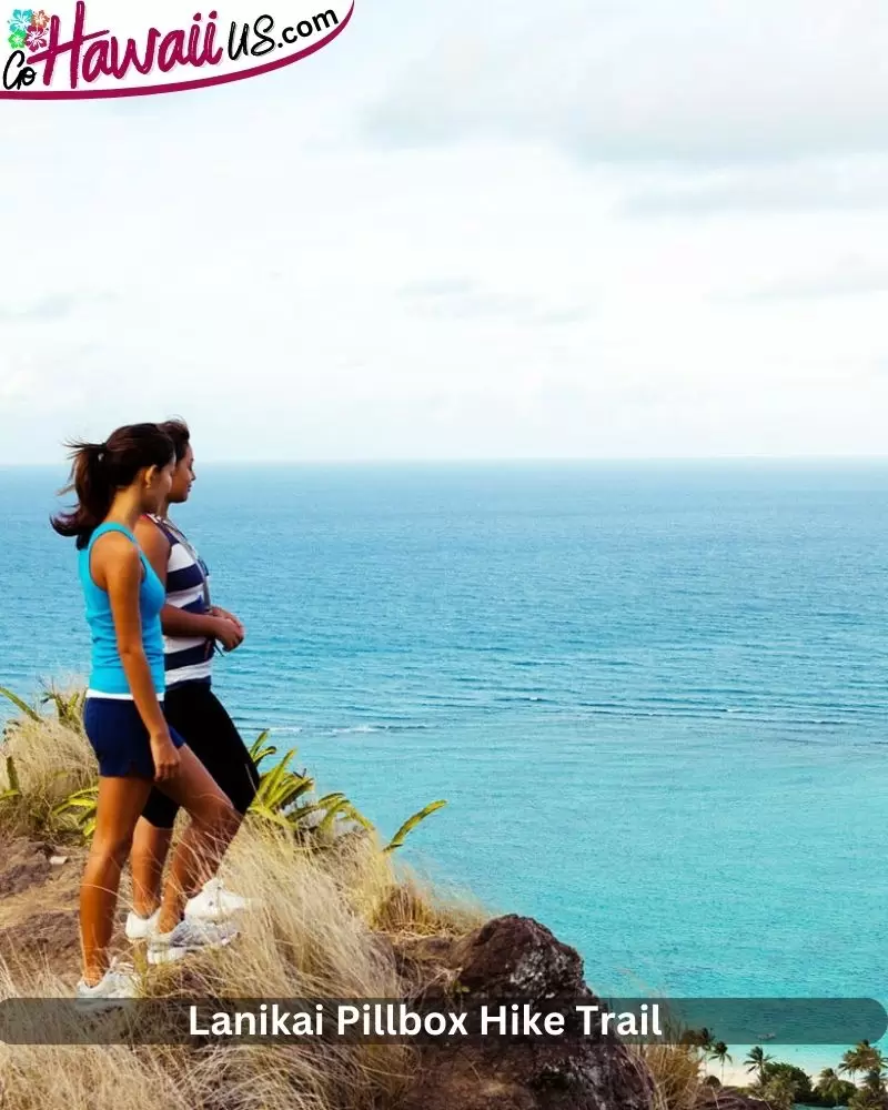 Lanikai Pillbox Hike Trail