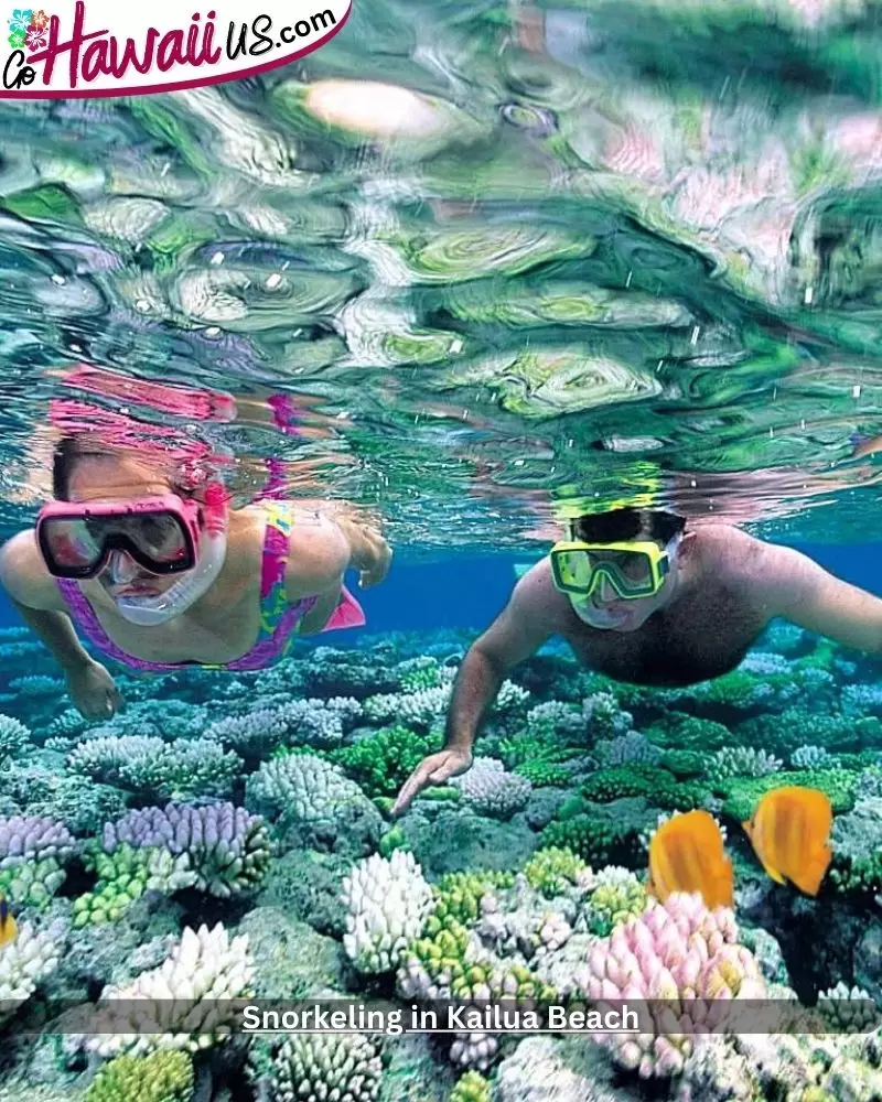 Snorkeling in Kailua Beach