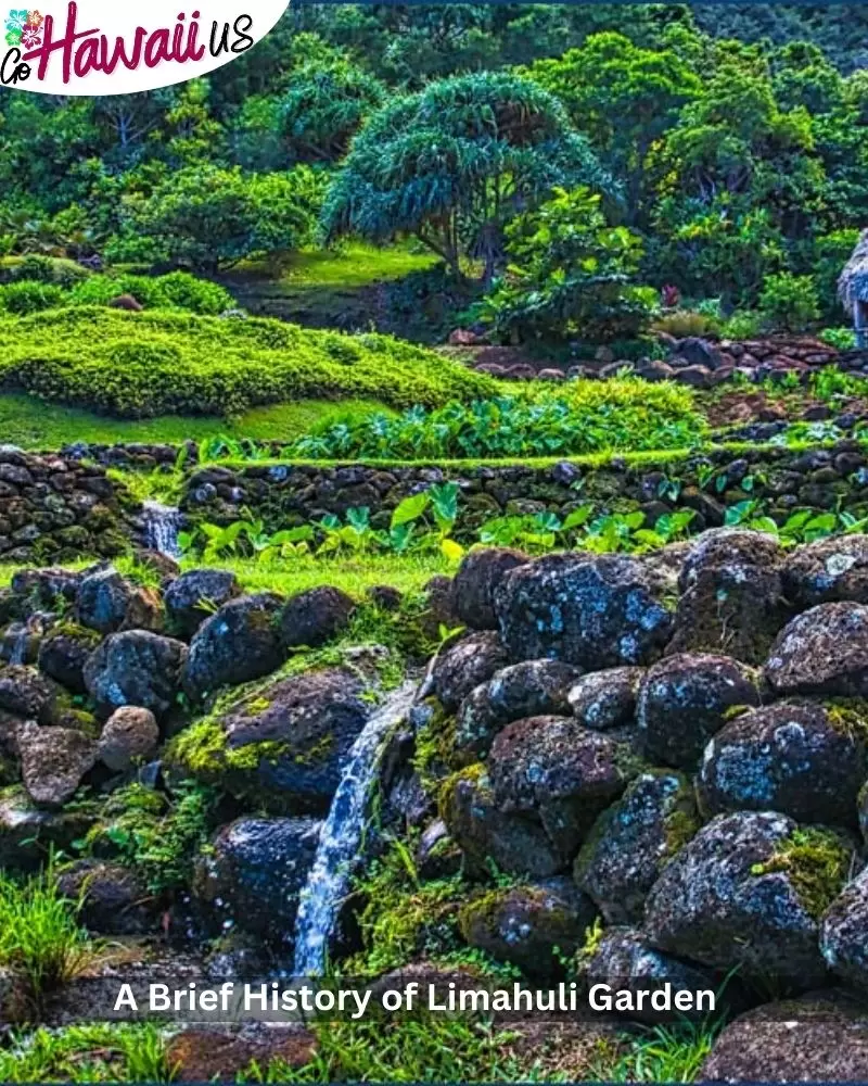 Limahuli Garden in Kauai, Hawaii: The Complete 2024 Guide!