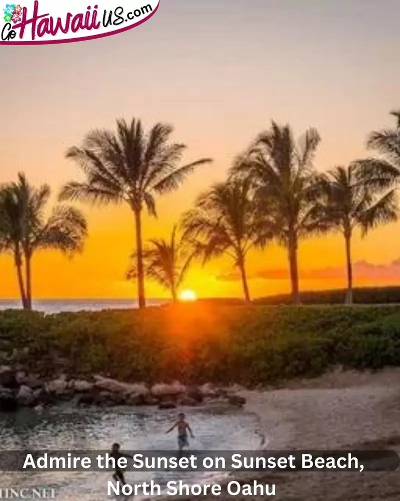  Admire the Sunset on Sunset Beach, North Shore Oahu