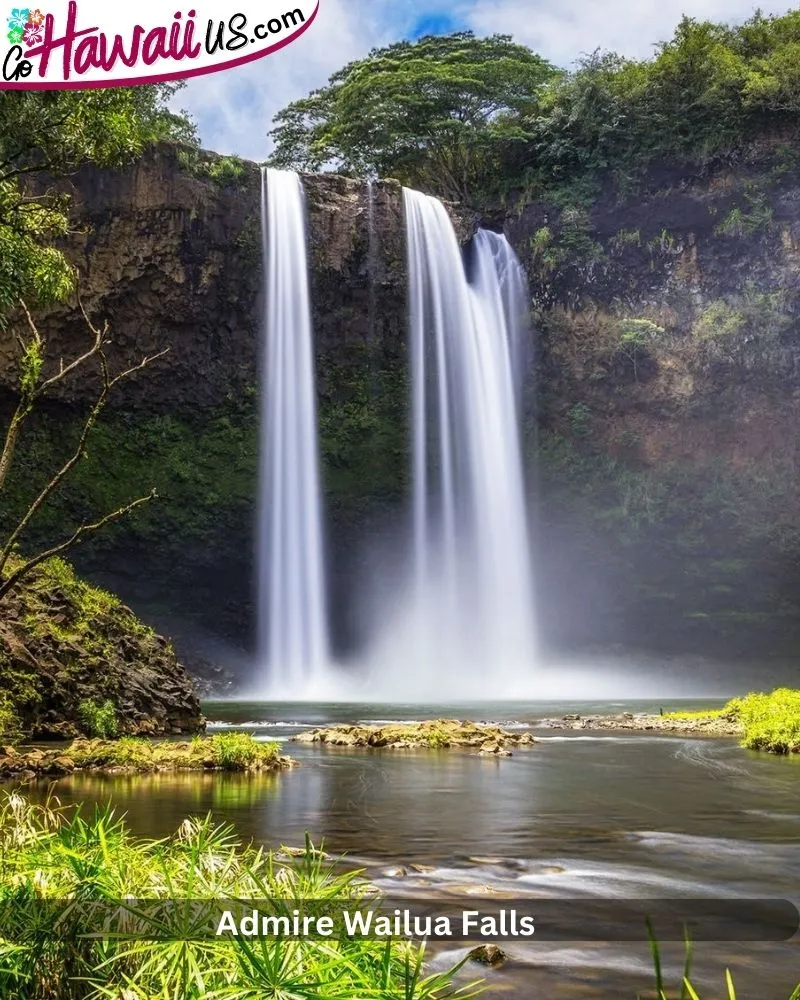 Admire Wailua Falls