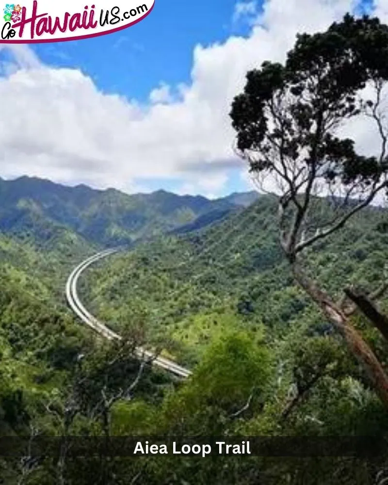 Aiea Loop Trail