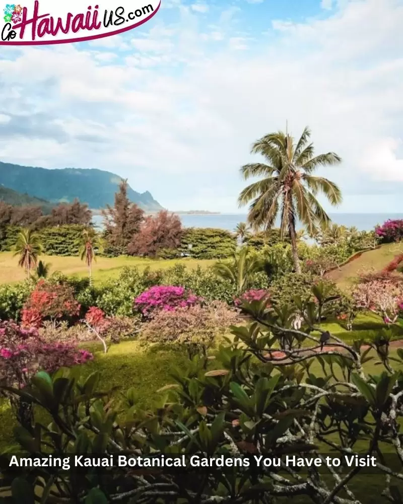 Amazing Kauai Botanical Gardens You Have to Visit