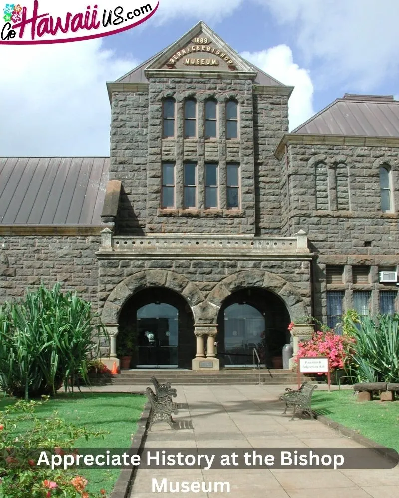 Appreciate History at the Bishop Museum