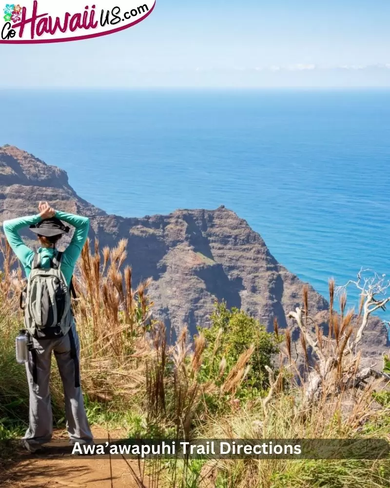 Awa’awapuhi Trail Directions