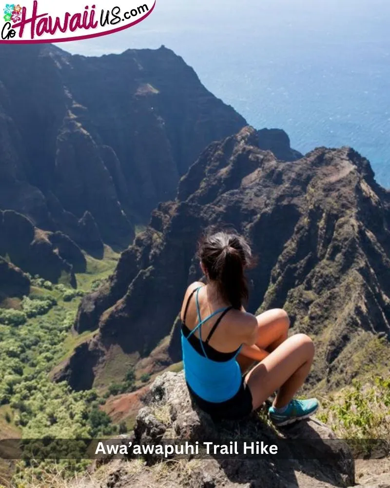 Awa’awapuhi Trail Hike