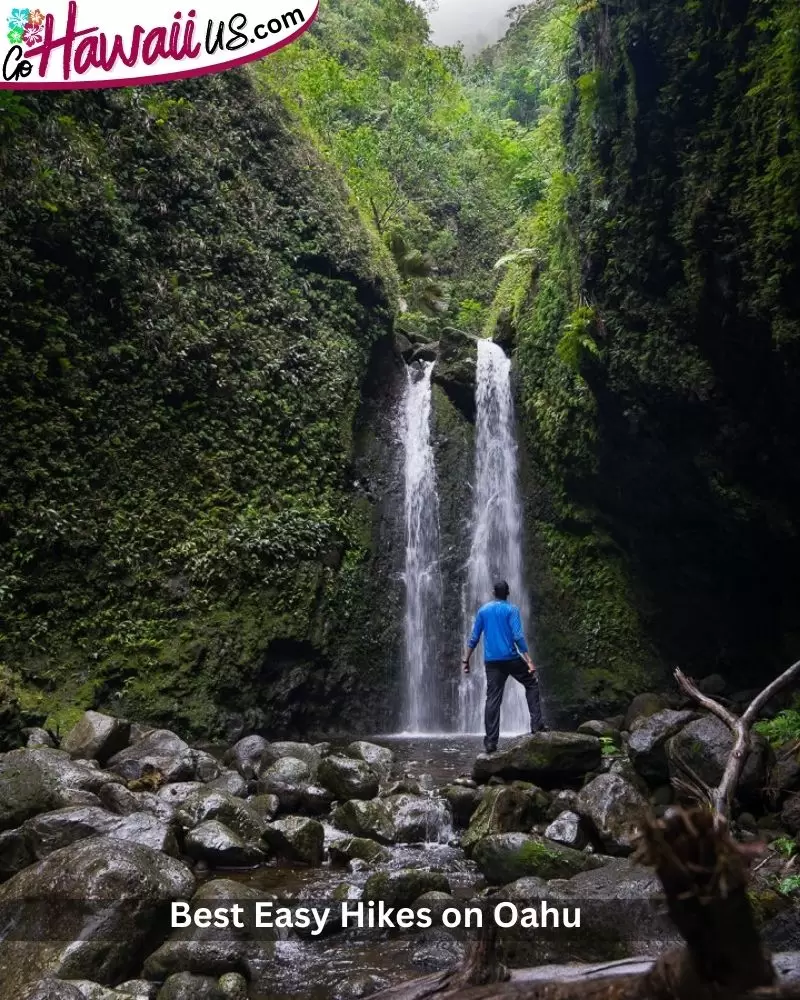 Best Easy Hikes on Oahu