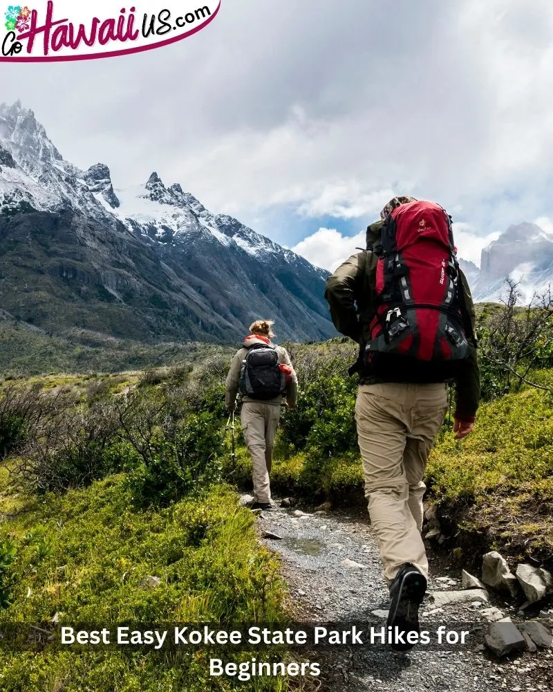 Best Easy Kokee State Park Hikes for Beginners