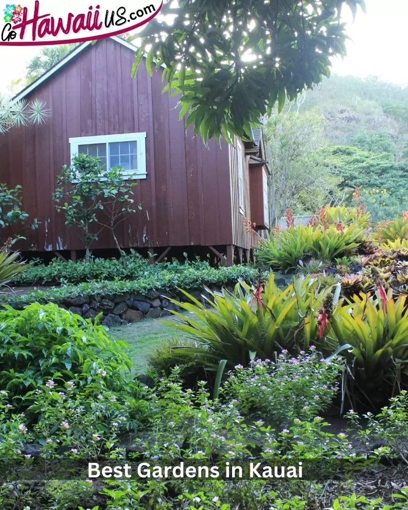 Best Gardens in Kauai