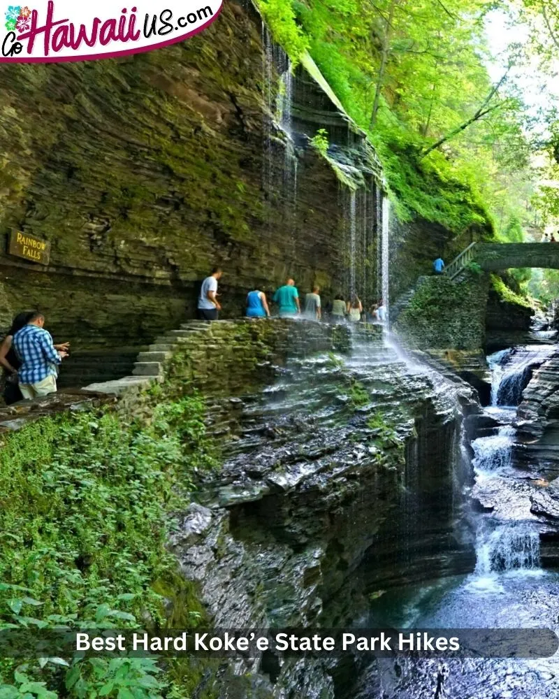 Best Hard Koke’e State Park Hikes