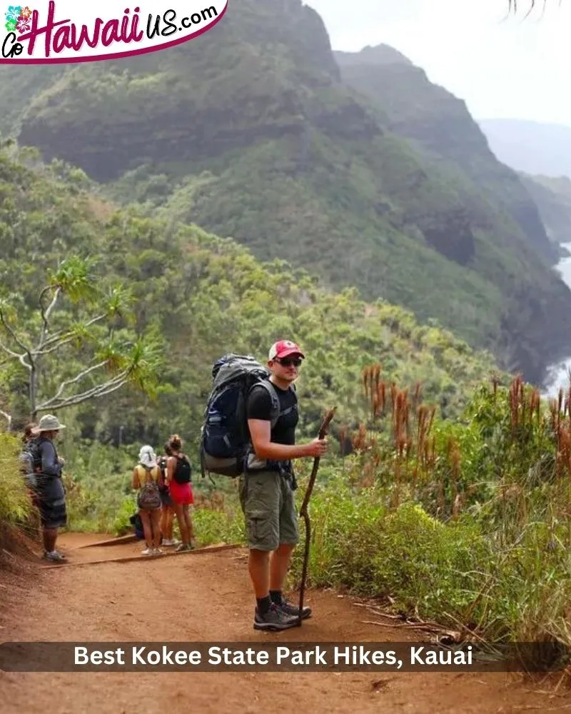 Best Kokee State Park Hikes, Kauai