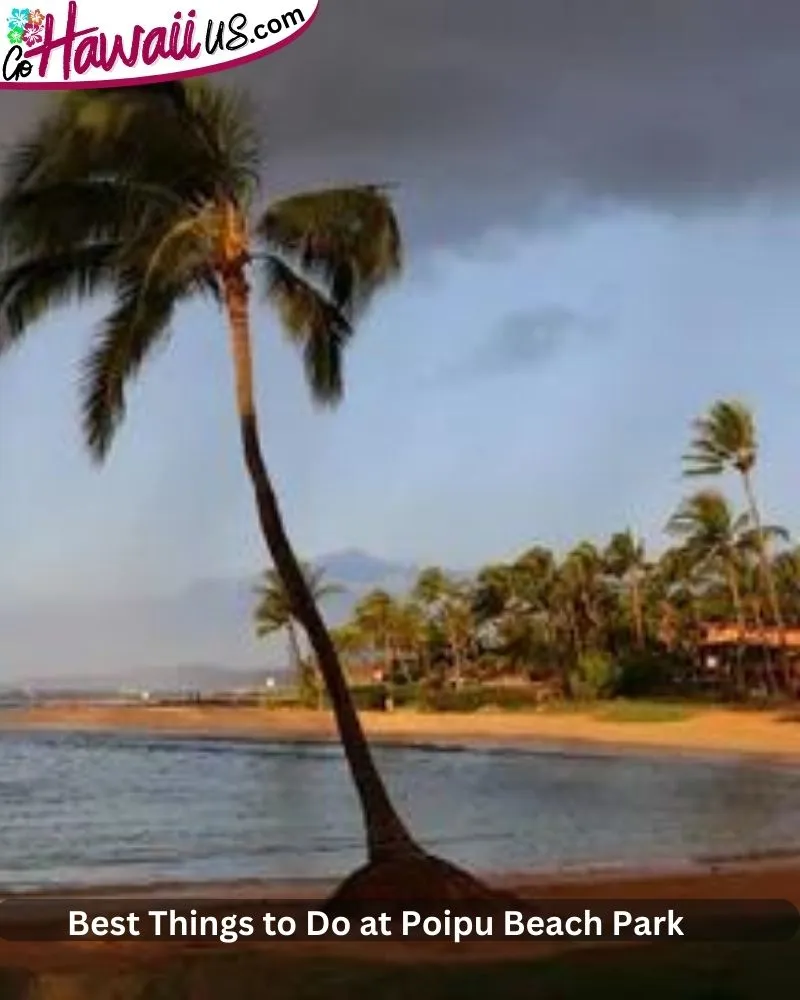 Best Things to Do at Poipu Beach Park