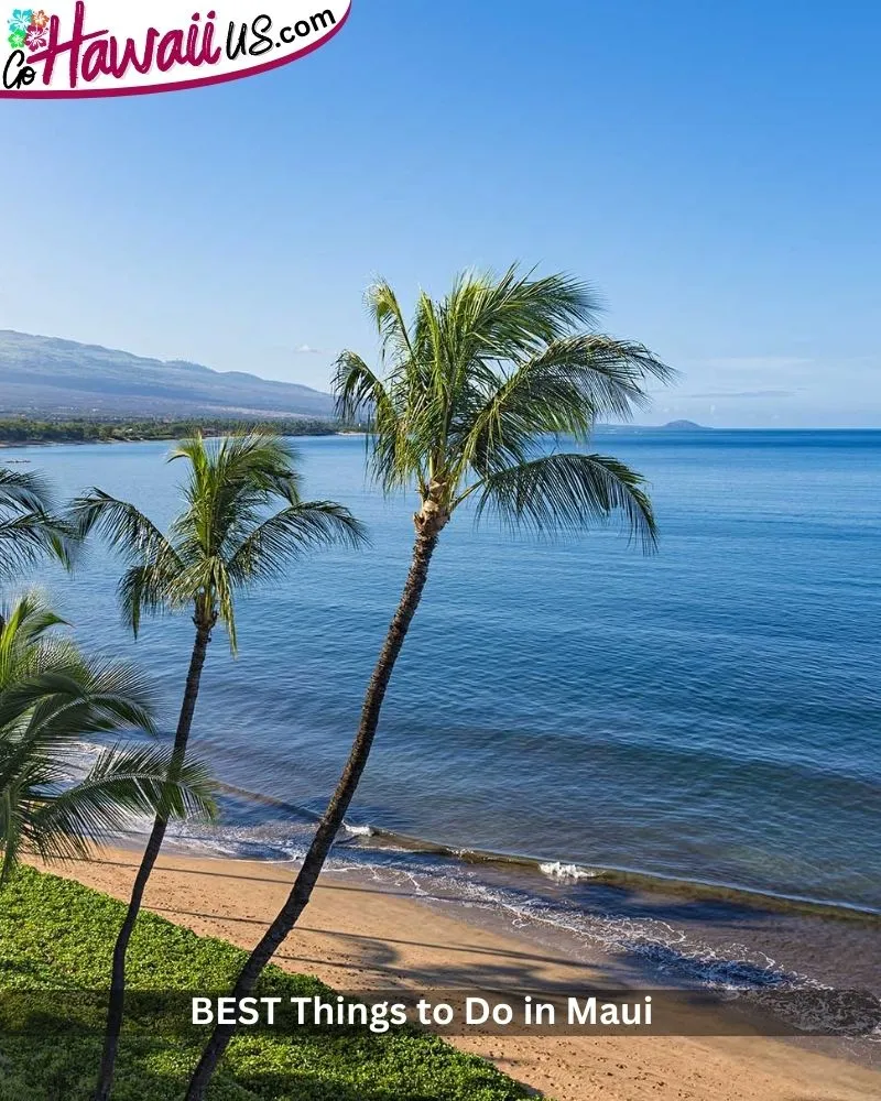 BEST Things to Do in Maui