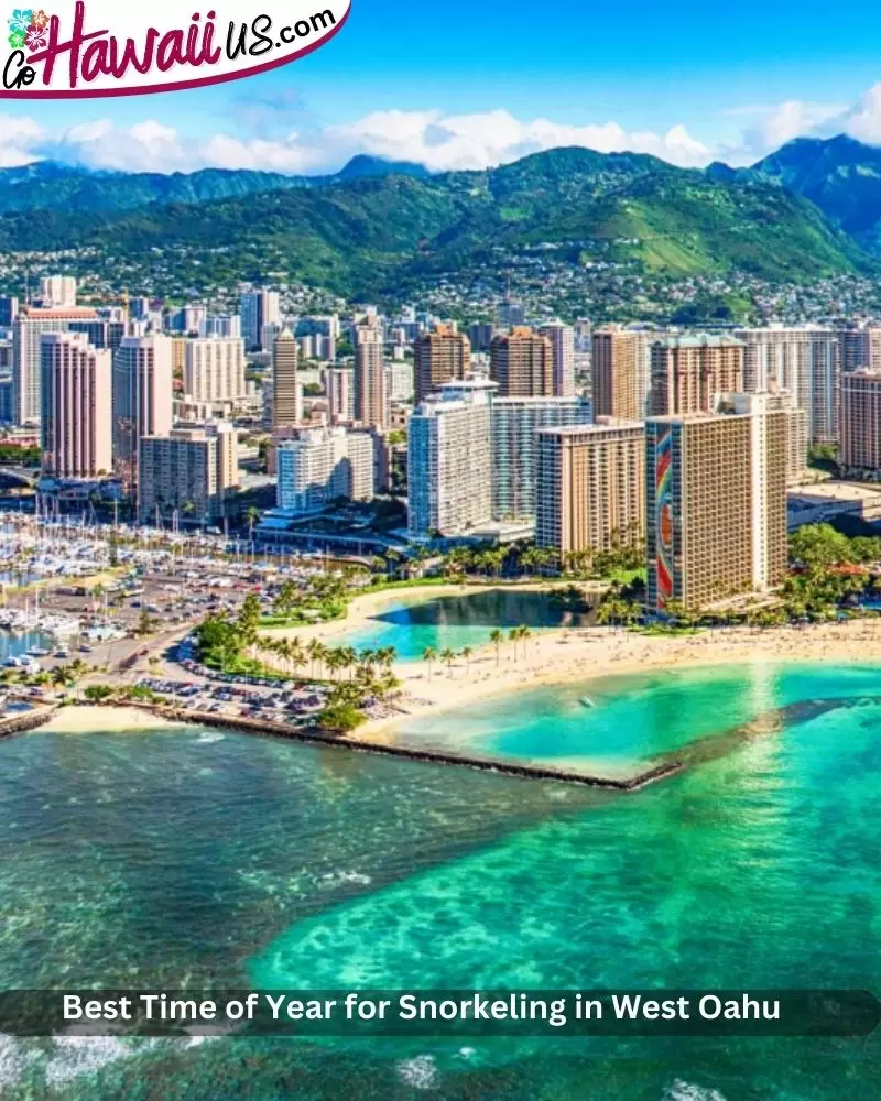 Best Time of Year for Snorkeling in West Oahu