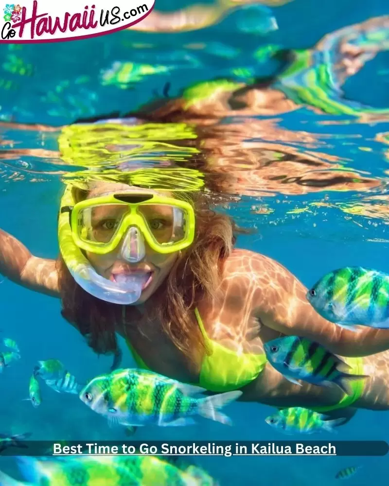 Best Time to Go Snorkeling in Kailua Beach