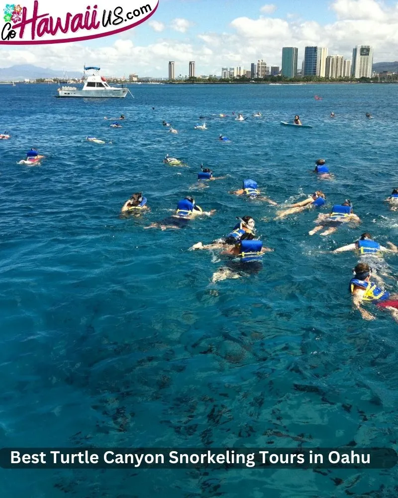 Best Turtle Canyon Snorkeling Tours in Oahu