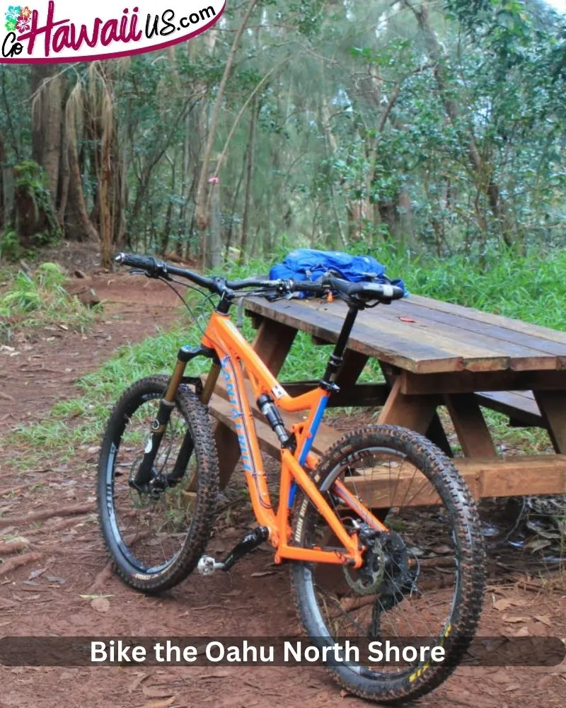 Bike the Oahu North Shore 