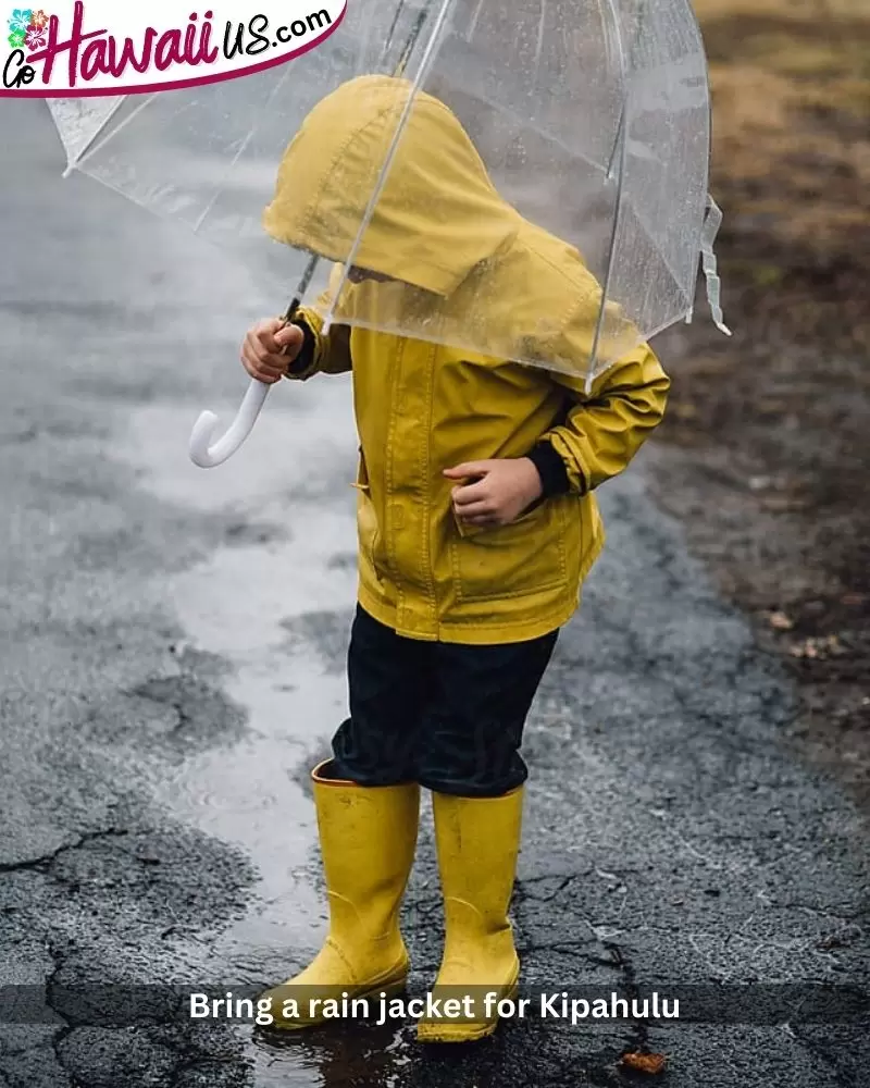  Bring a rain jacket for Kipahulu