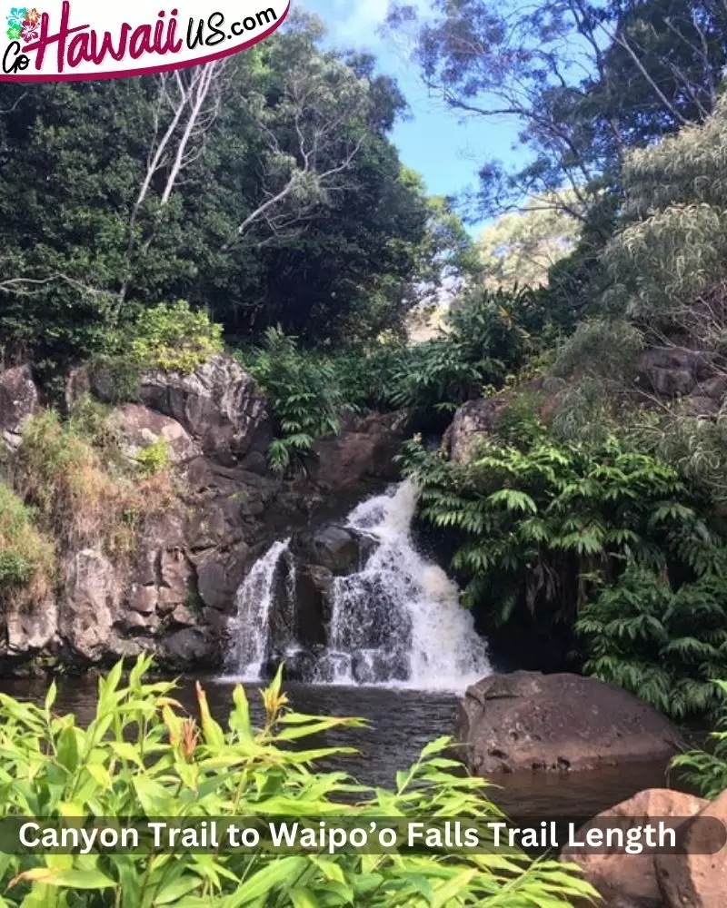 Canyon Trail to Waipo’o Falls Trail Length