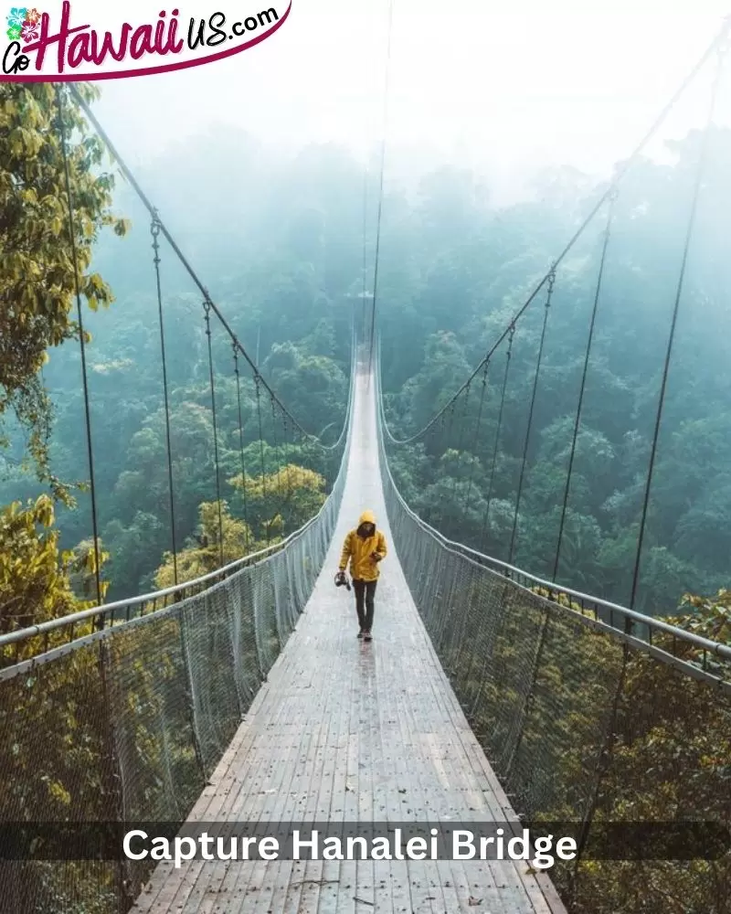 Capture Hanalei Bridge