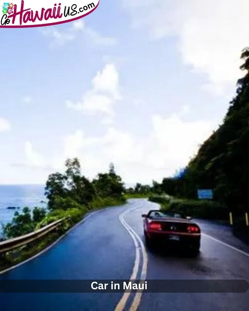 Car in Maui