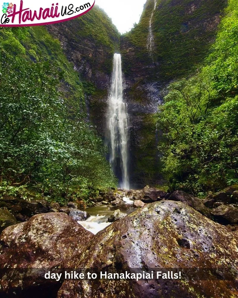  day hike to Hanakapiai Falls!