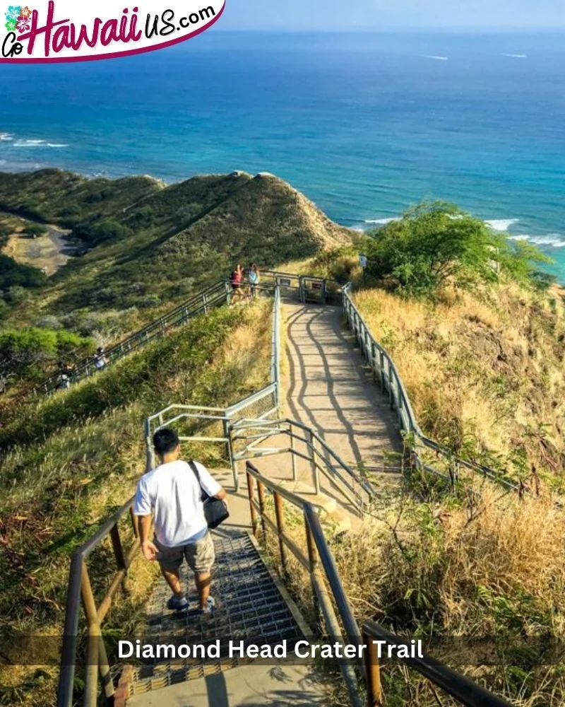 Diamond Head Crater Trail