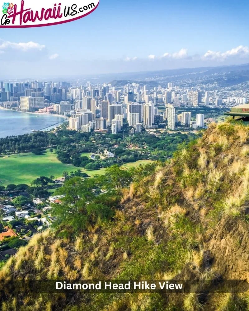 Diamond Head Hike View