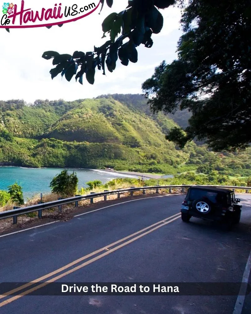 Drive the Road to Hana