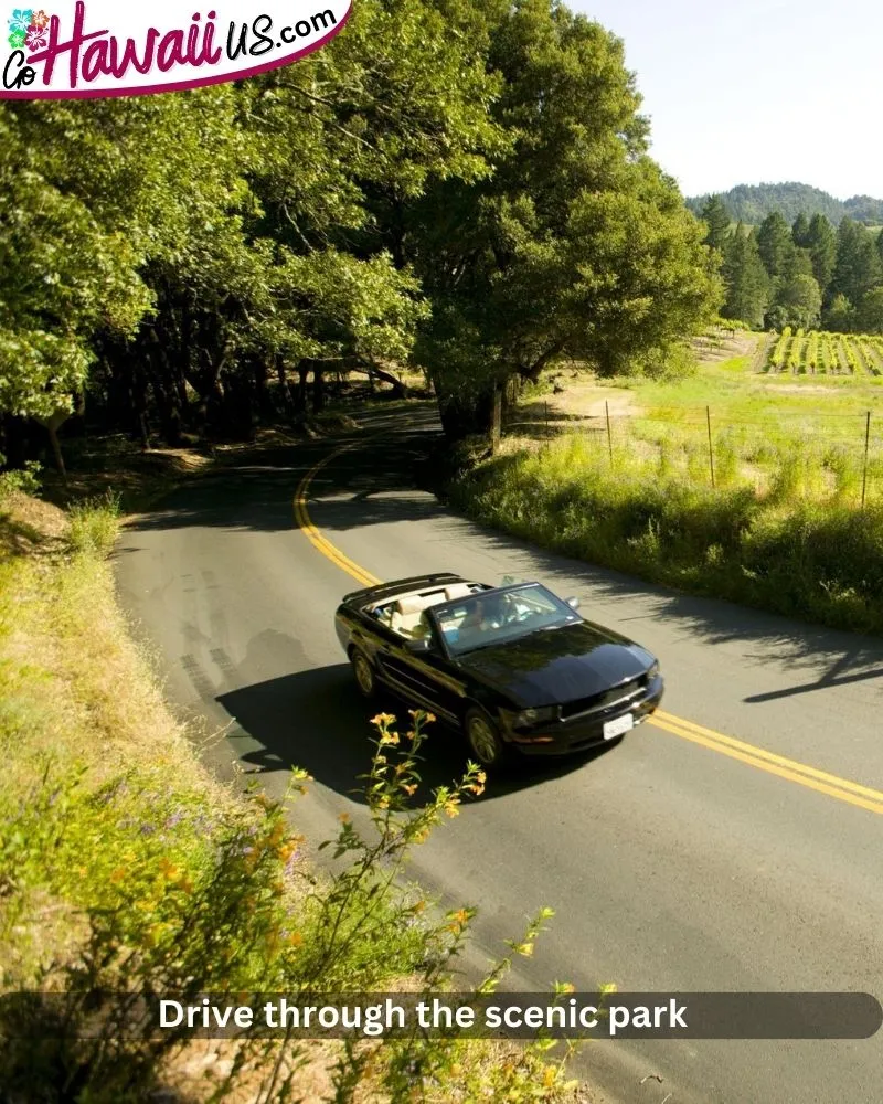 Drive through the scenic park