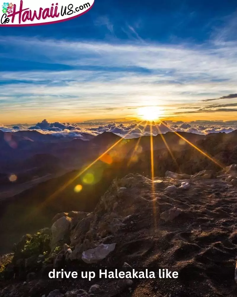 drive up Haleakala like