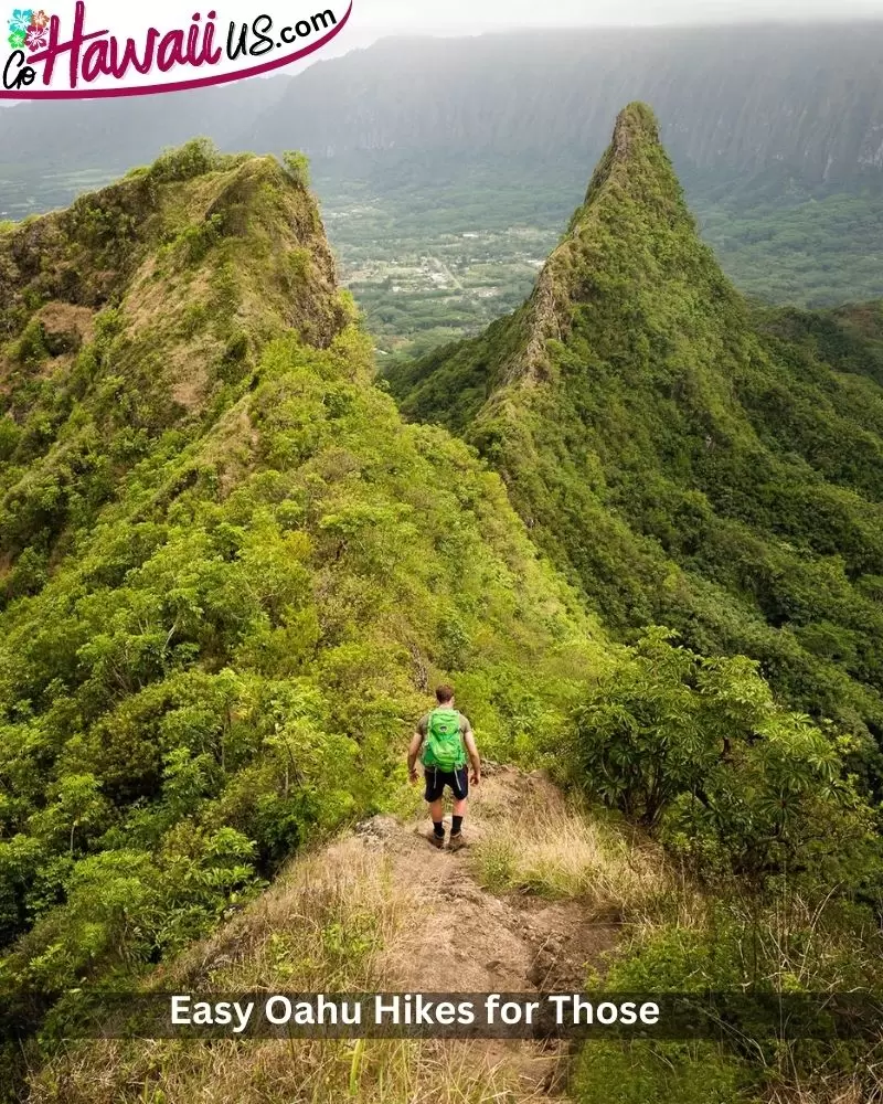 Easy Oahu Hikes for Those