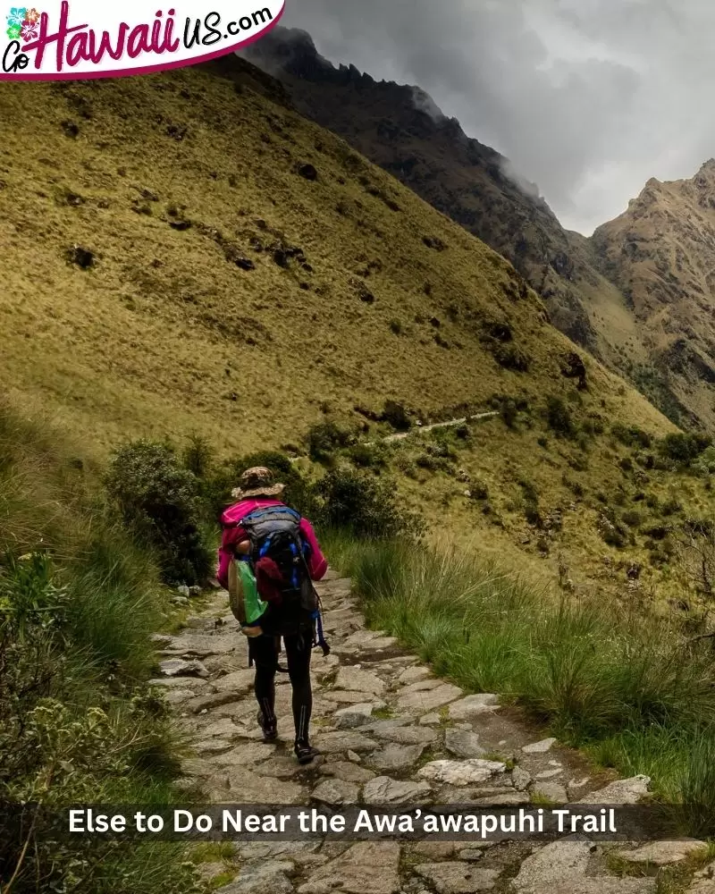 Else to Do Near the Awa’awapuhi Trail