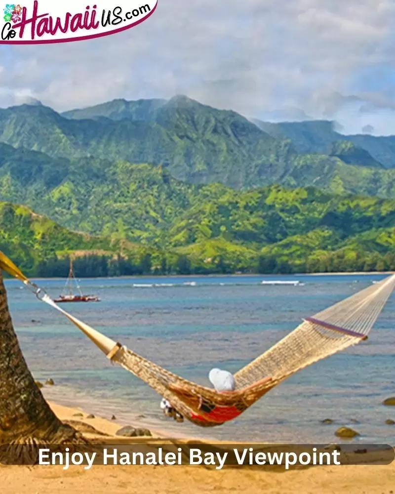 Enjoy Hanalei Bay Viewpoint