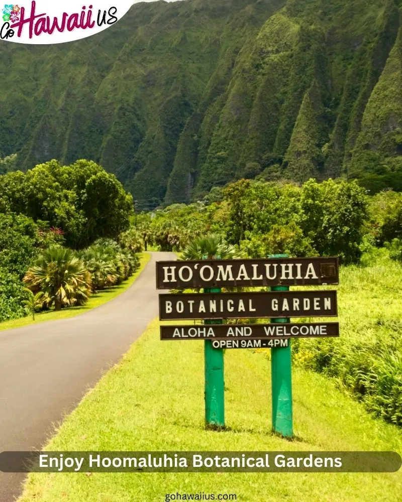 Enjoy Hoomaluhia Botanical Gardens 