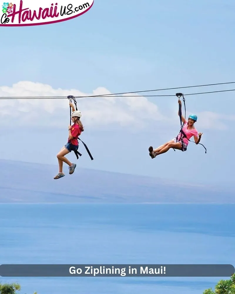 Go Ziplining in Maui!