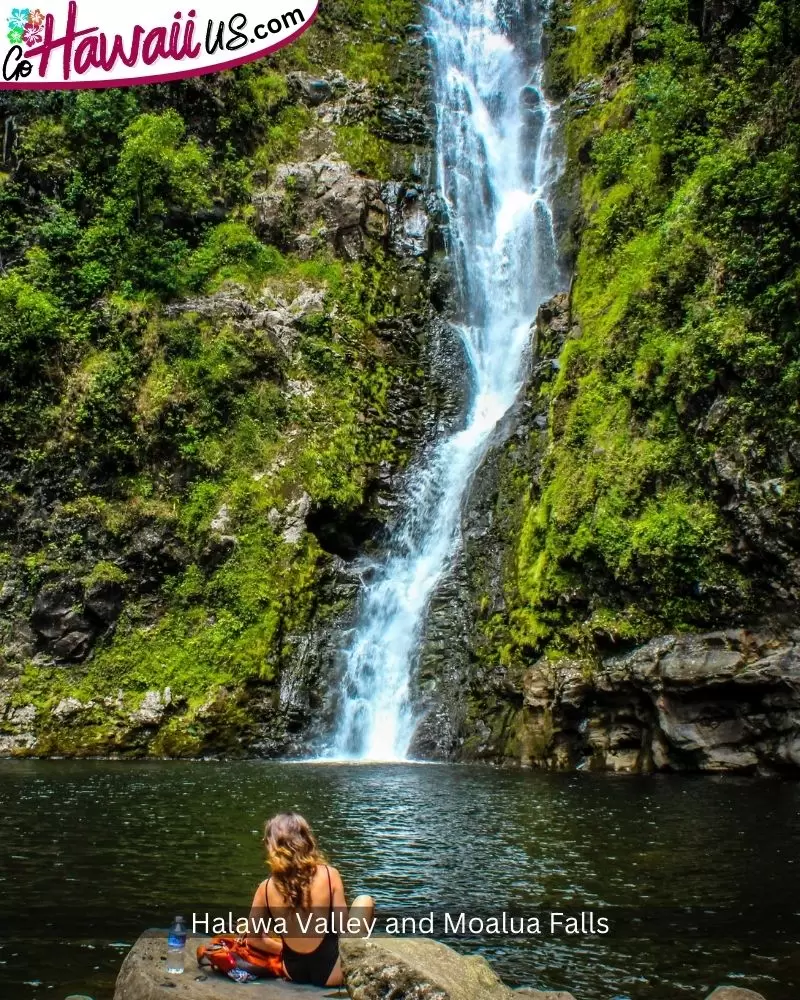 Halawa Valley and Moalua Falls