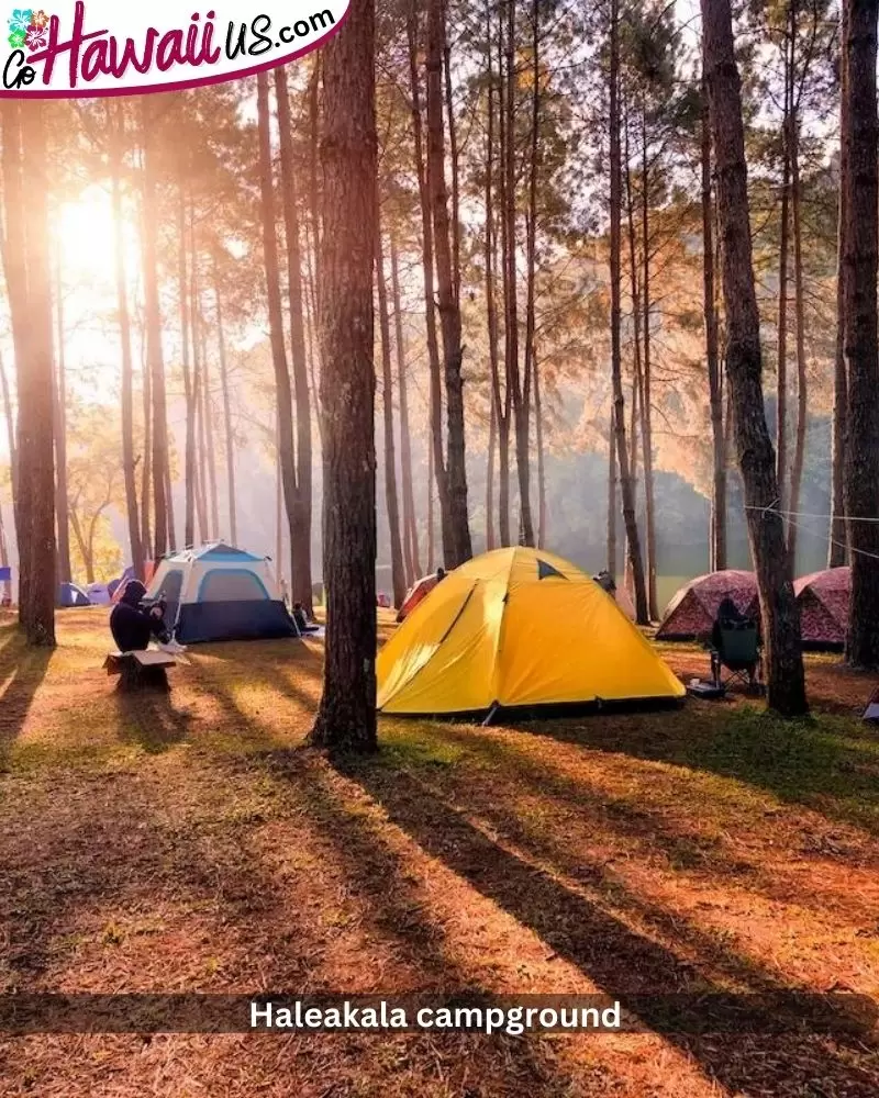 Haleakala campground