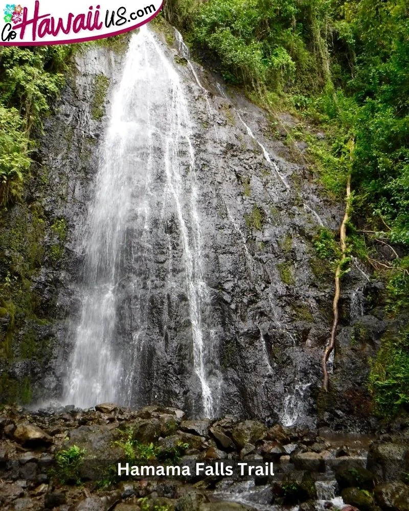 Hamama Falls Trail