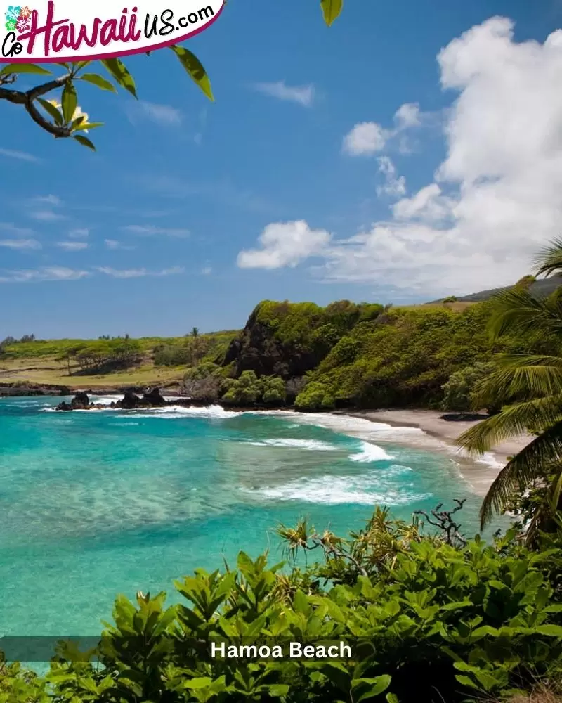 22 BEST Road to Hana Stops in Maui + Map (2024 )