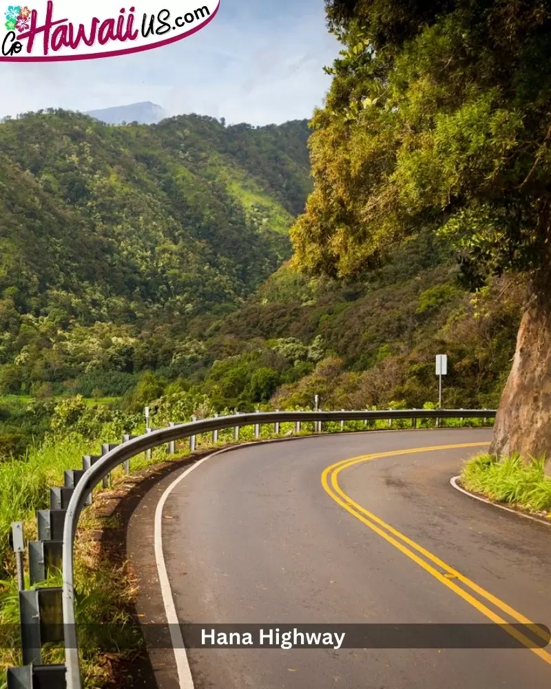 Hana Highway