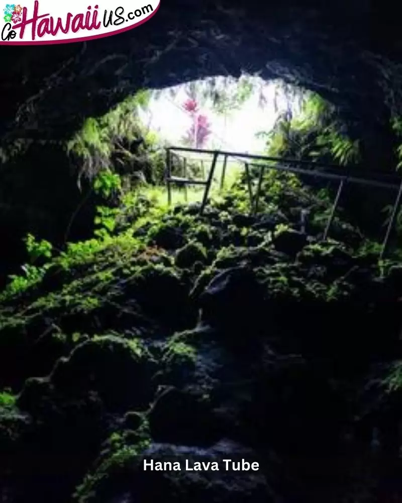 Hana Lava Tube