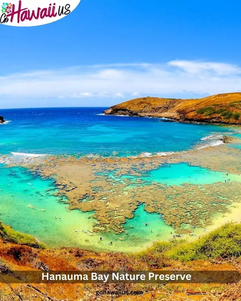  Hanauma Bay Nature Preserve